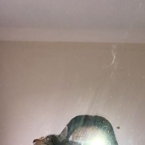 Meet your Posher, Amelie